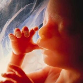 unborn_child